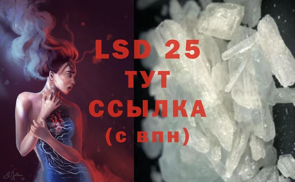 мяу мяу мука Баксан