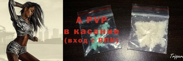 прущие грибы Бердск