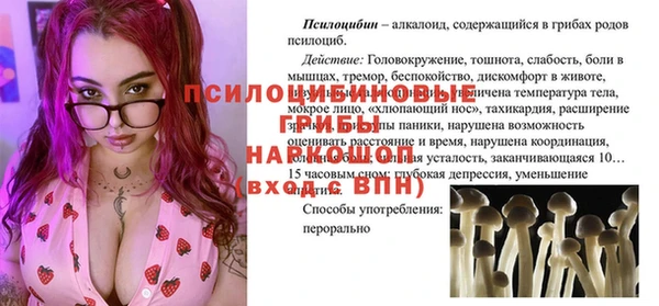 мяу мяу мука Баксан