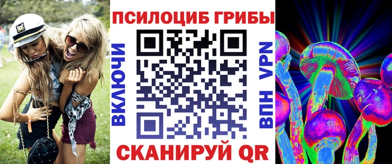 купить наркотики сайты  KRAKEN вход  Псилоцибиновые грибы Magic Shrooms  Бирюсинск 
